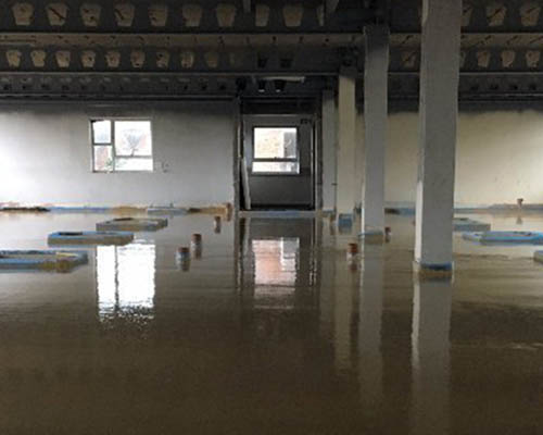 Floor Screeding